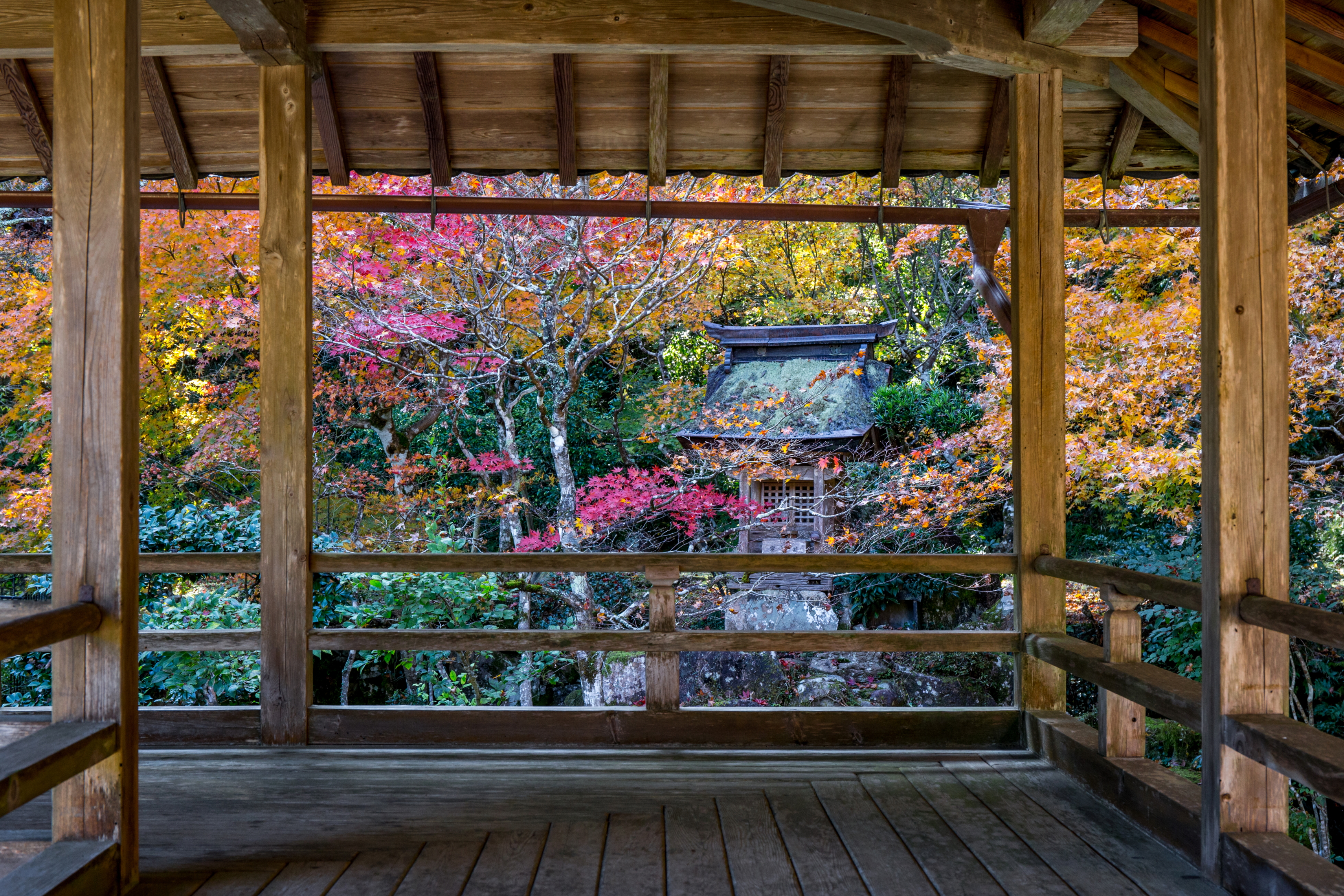 慧日寺の紅葉