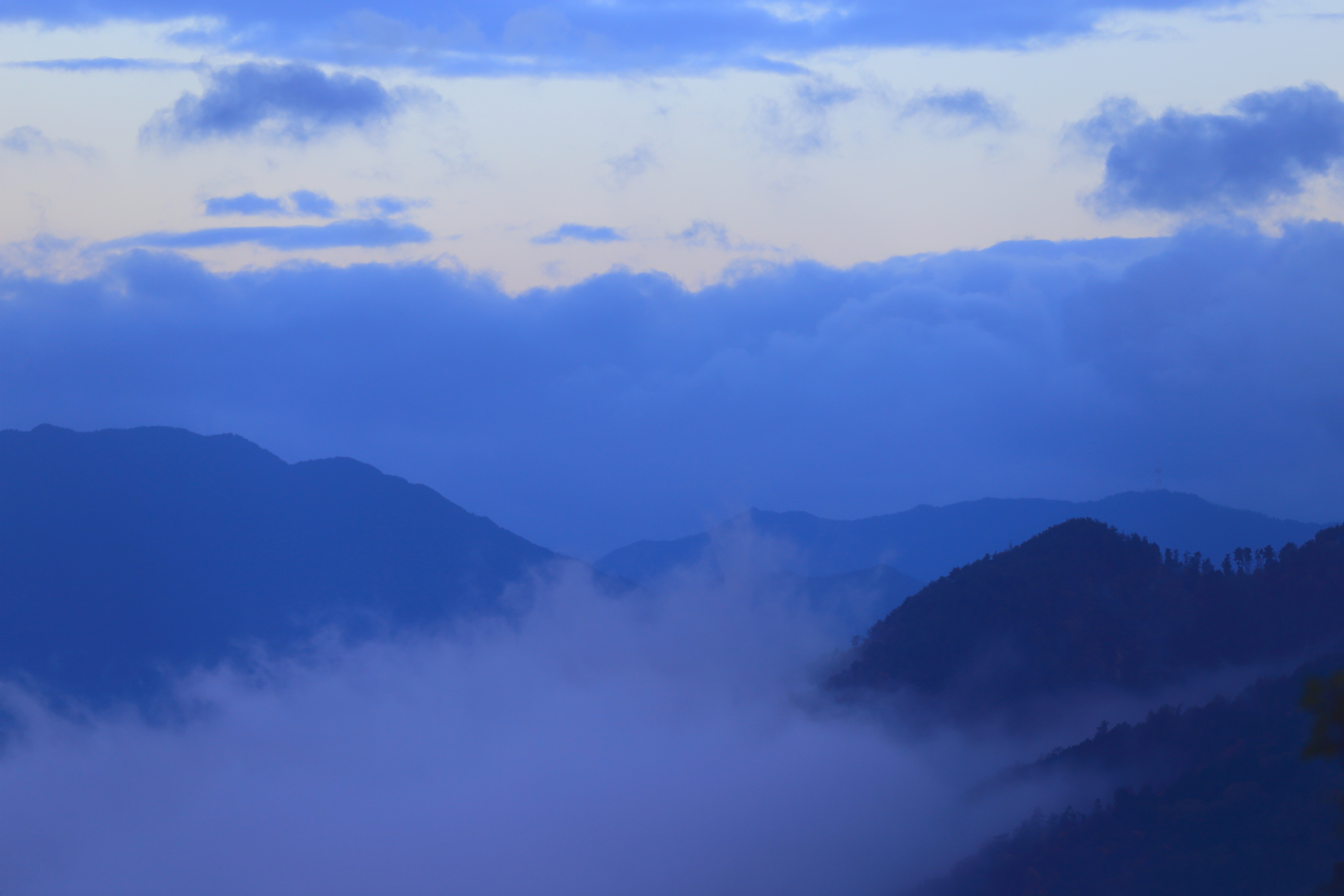 黒井城からの雲海