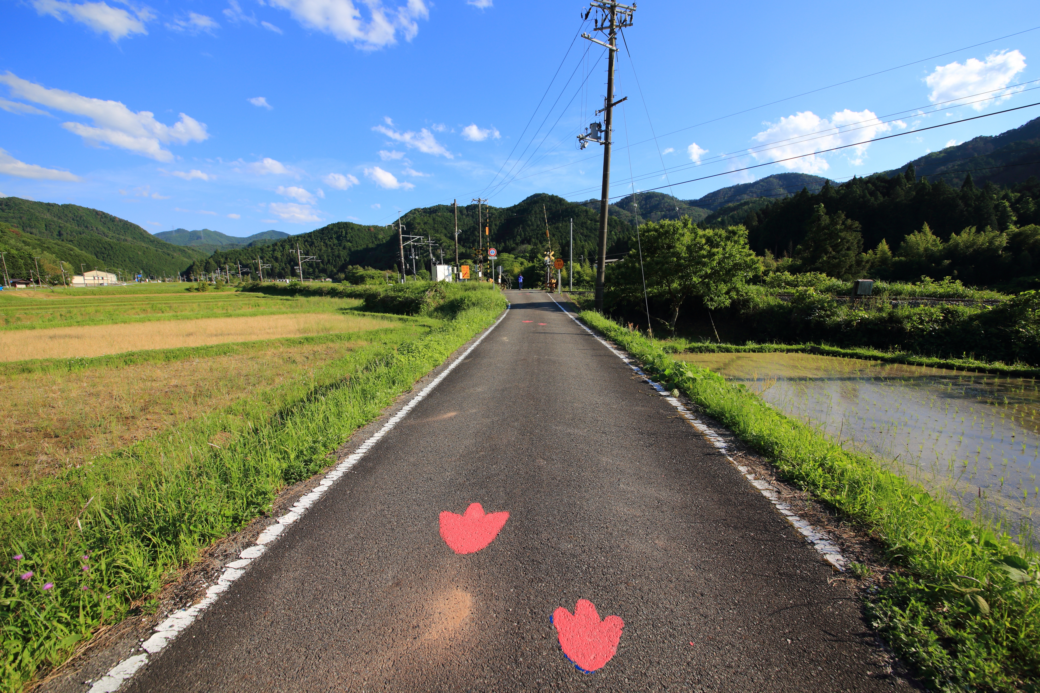 恐竜の足跡が描かれた道路